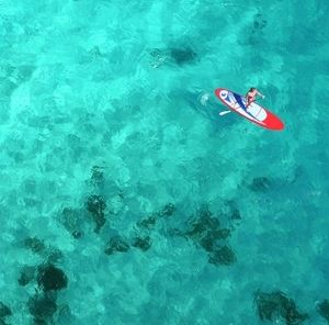 Meet your Posher, Wayne